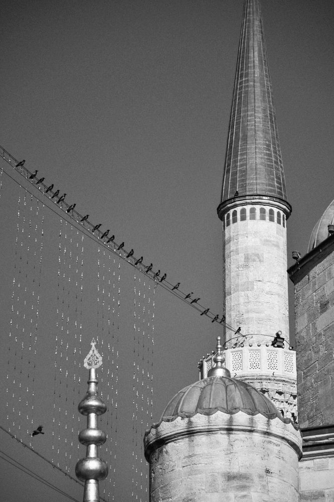 Photograph by Никита Невзоров
