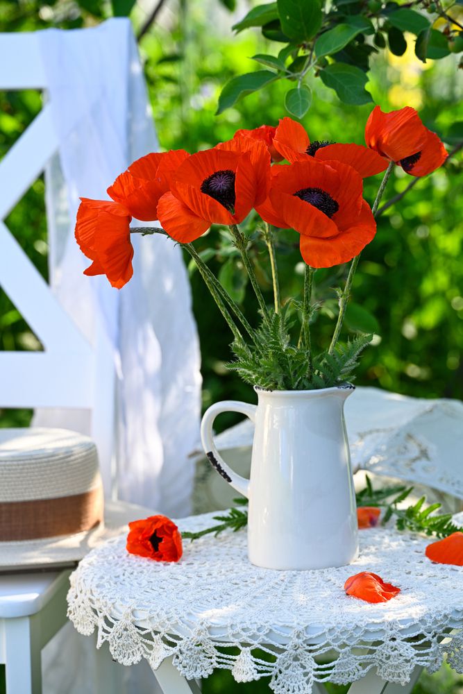 Summer\'s Scarlet Accents