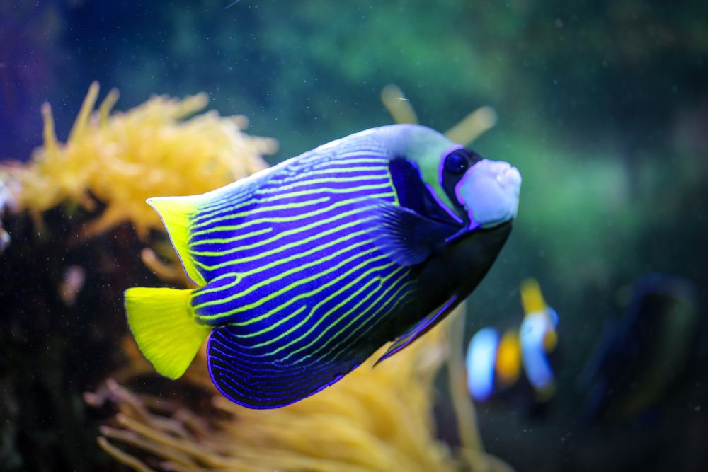 Photograph by Елена Болдырева