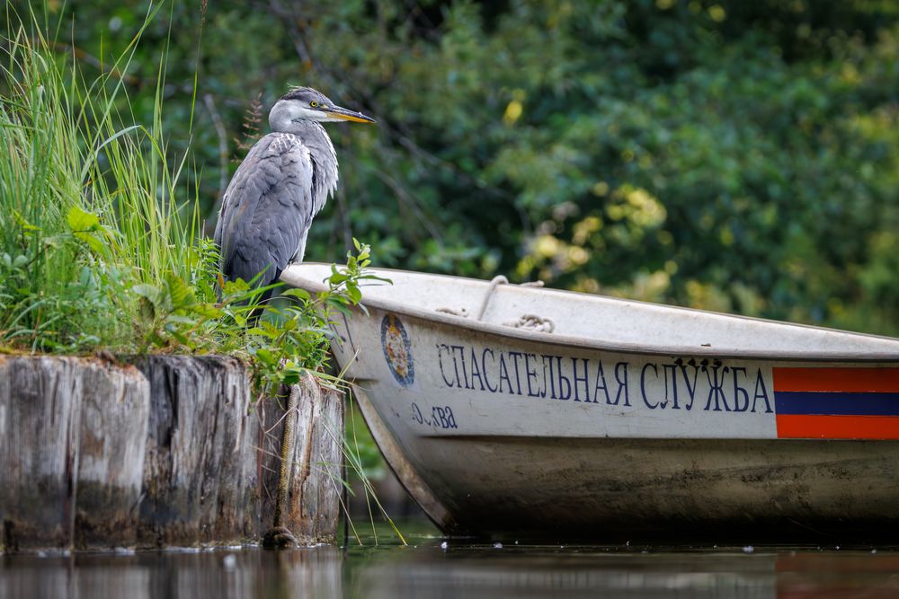 Photograph by Антон Науменко