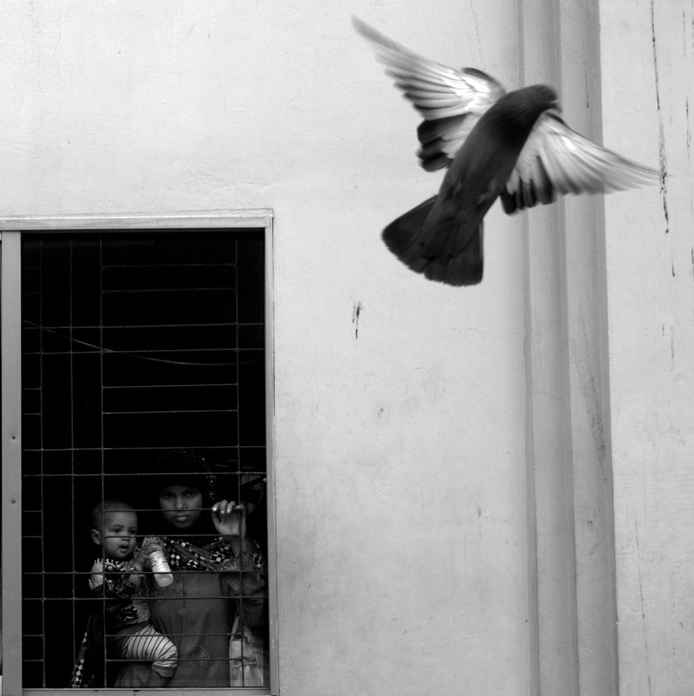 Фотография автора Ayman Nakib