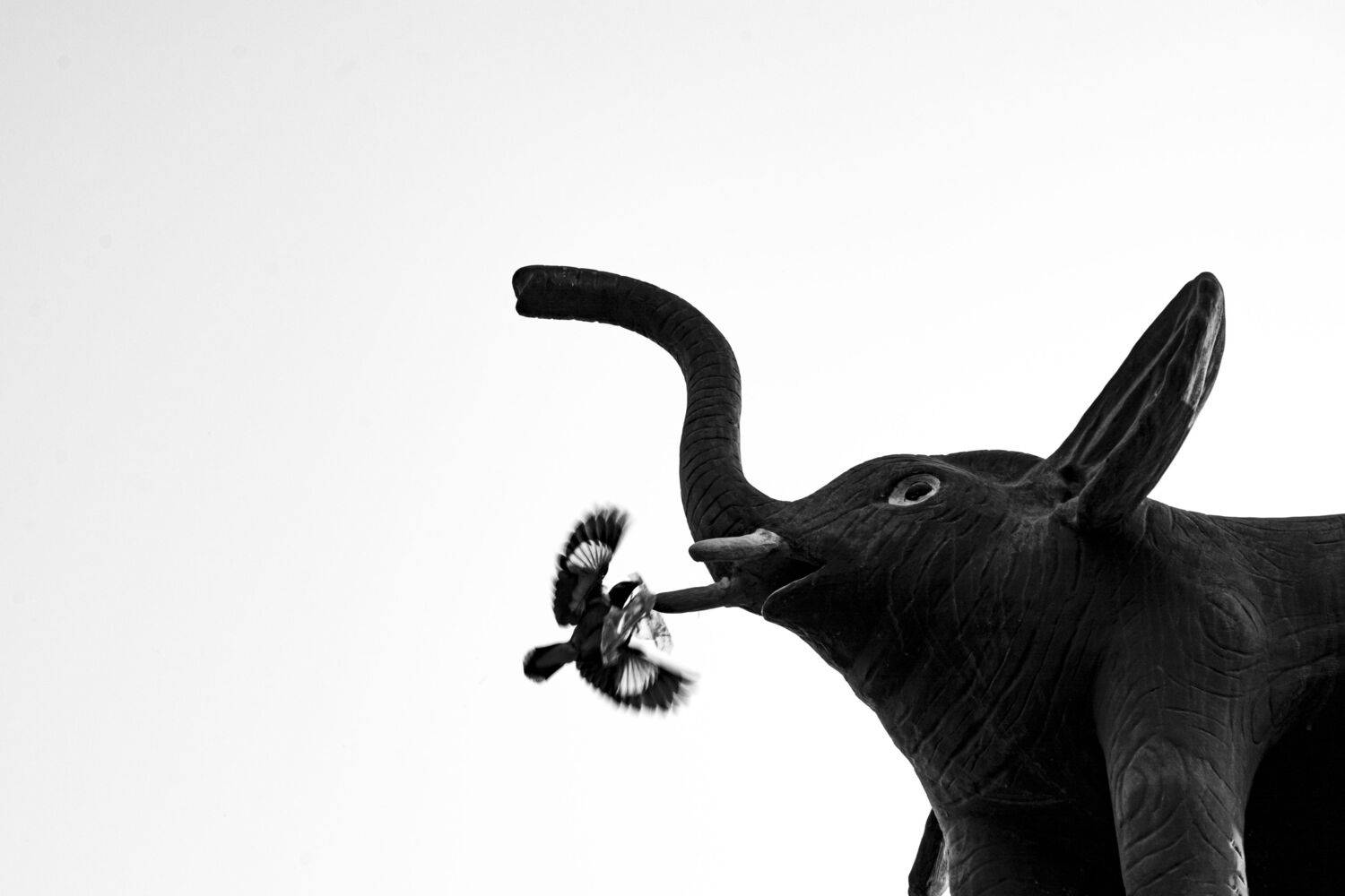 Photo #13713831