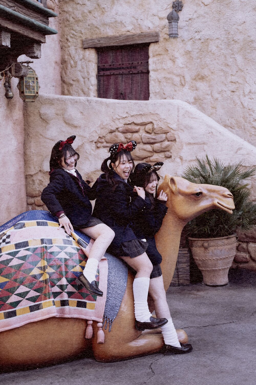 Photo #13713868