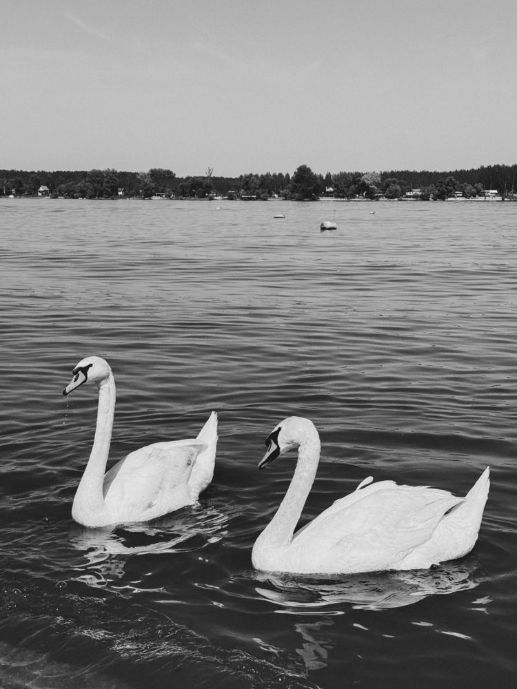 Photograph by Сергей