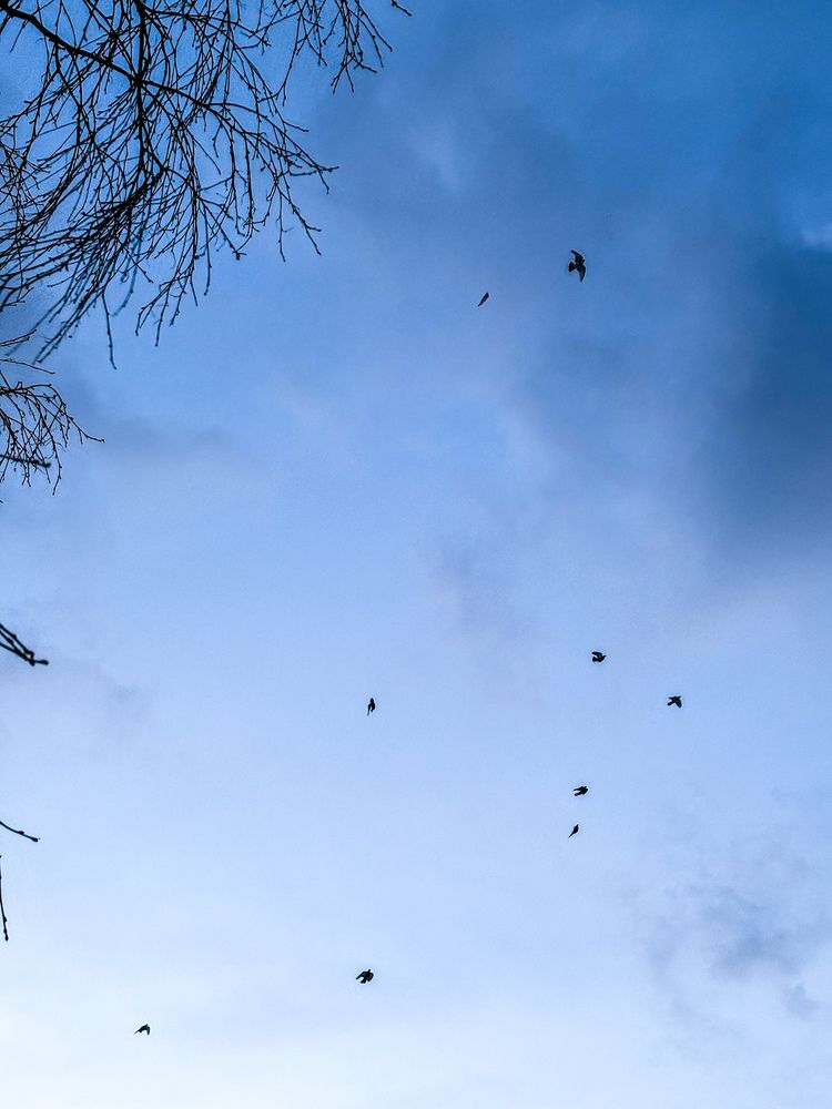 Photograph by Евгения Немчнова