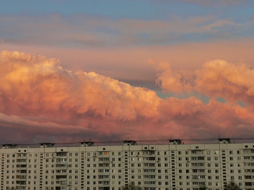 Фотография автора Екатерина Пласковицкая