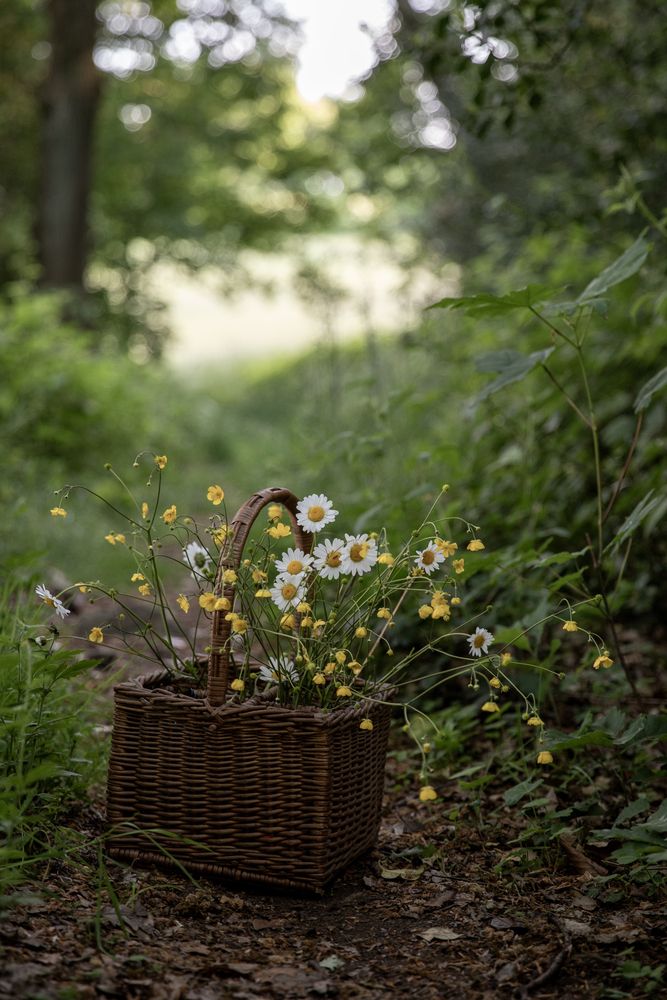 Photograph by Uljana Kuchar