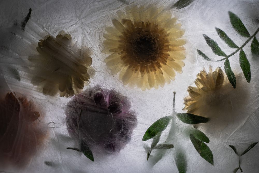 Photograph by Eвгения Цибизова