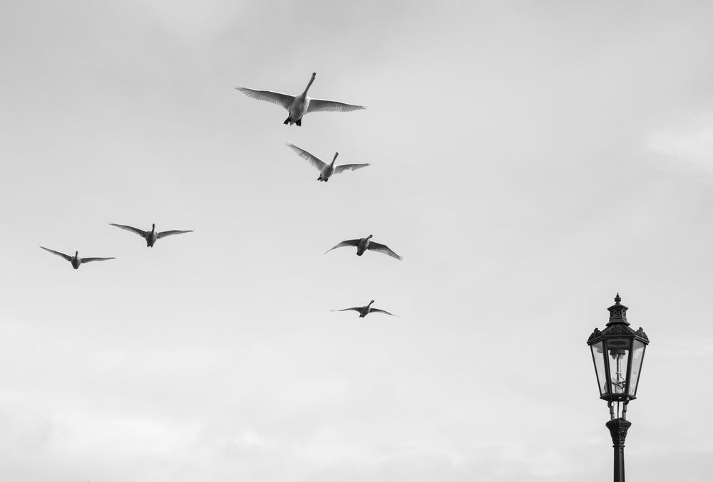 Photograph by Petr Rabinak