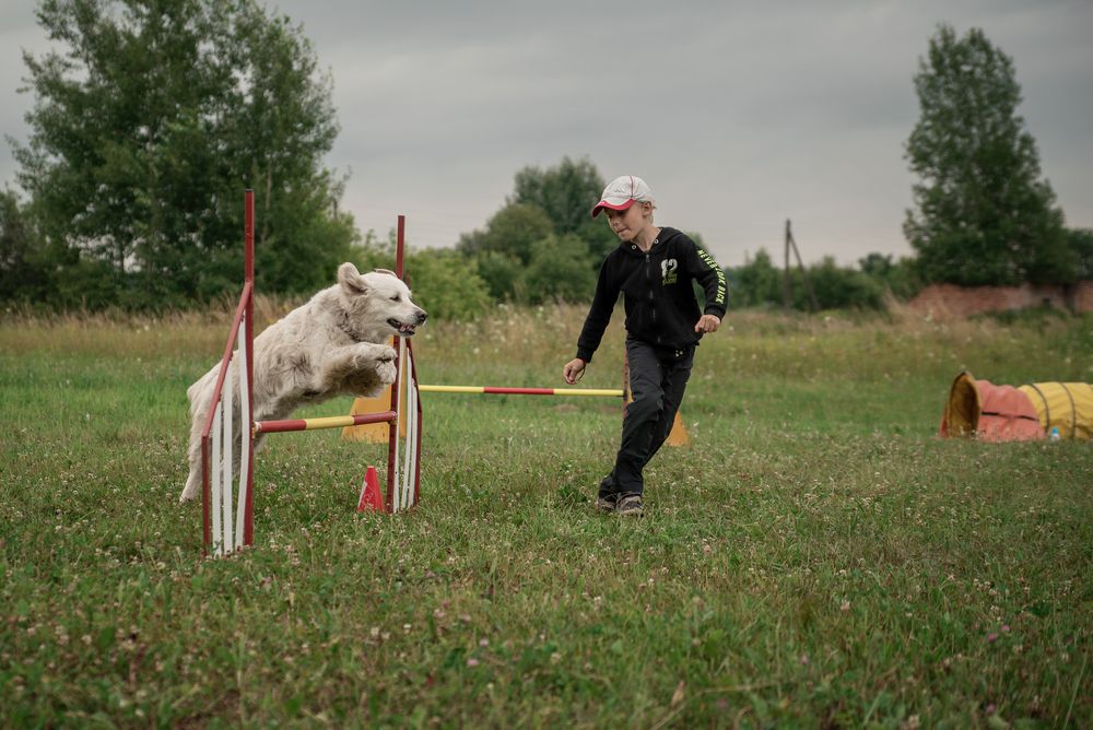 Photograph by наталья залогина