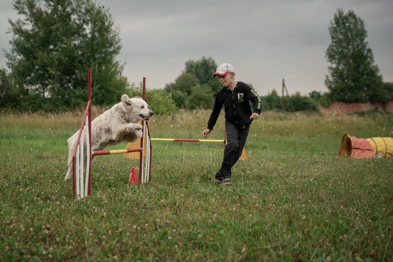 Photo #13714231