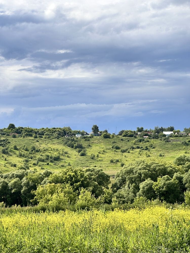 Photograph by Екатерина Курская