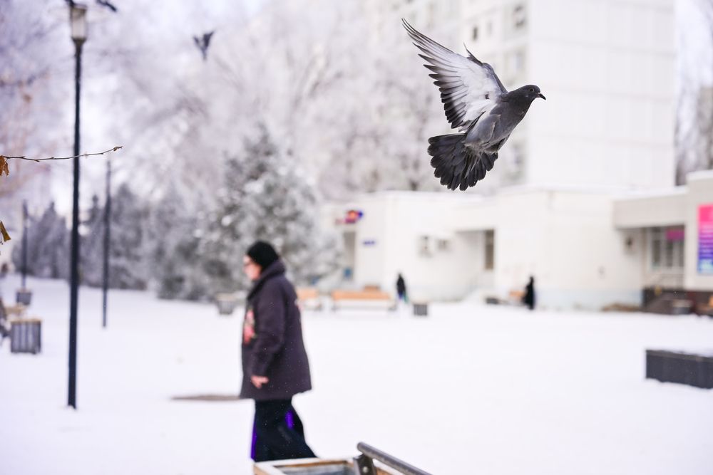 Photo #13714248