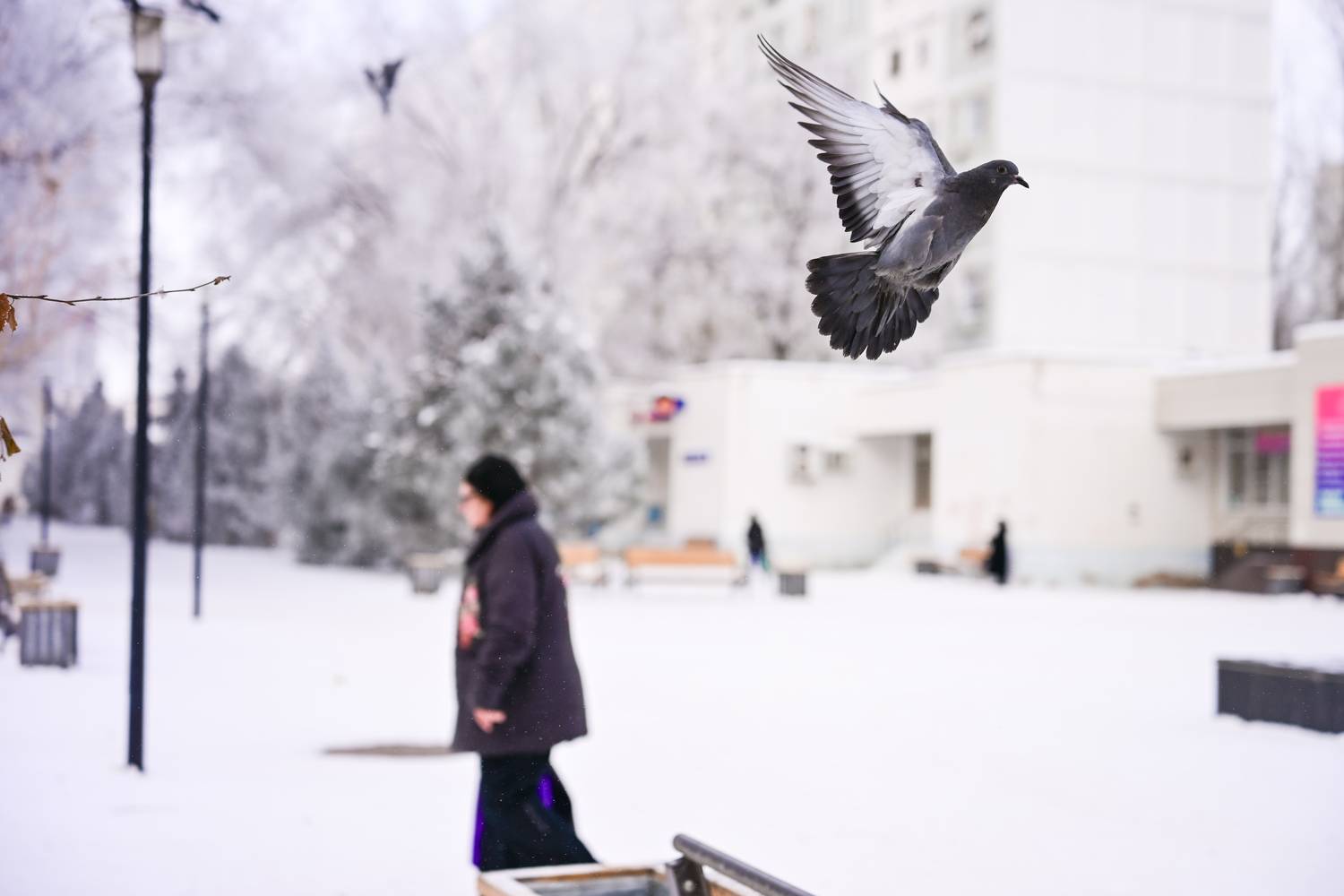 Photo #13714248