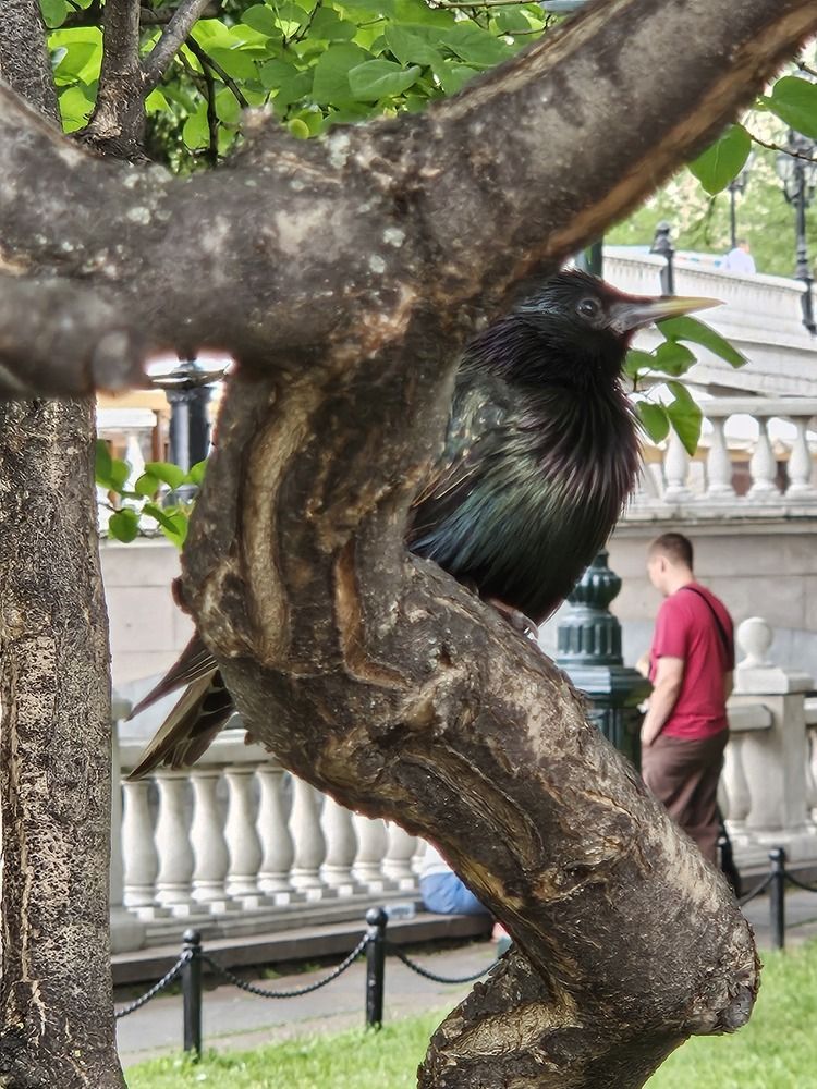 Photograph by Анна Петренко