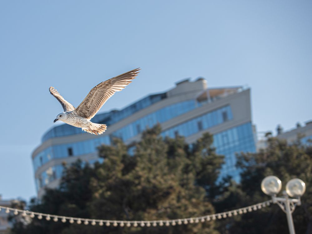 Photograph by Лупина Михаил