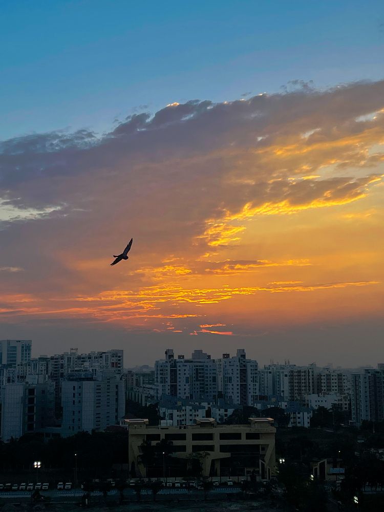 Photograph by Somdutta Chakraborty