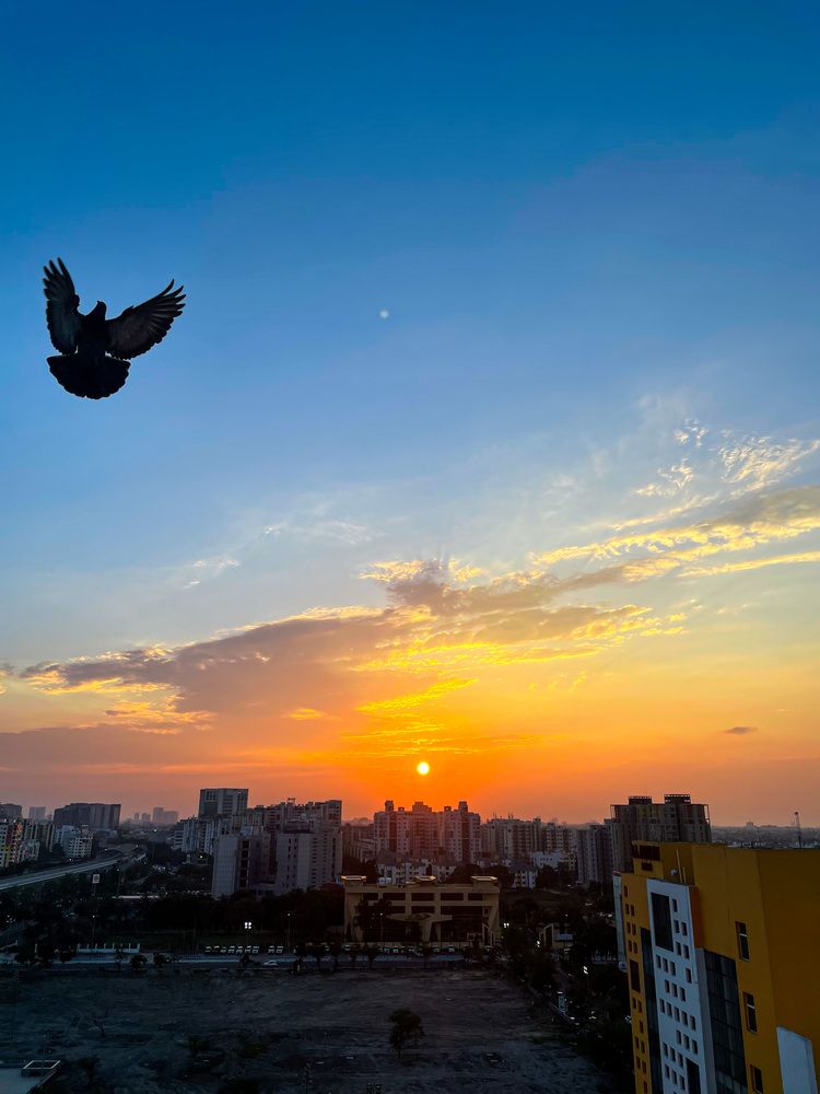 Photograph by Somdutta Chakraborty