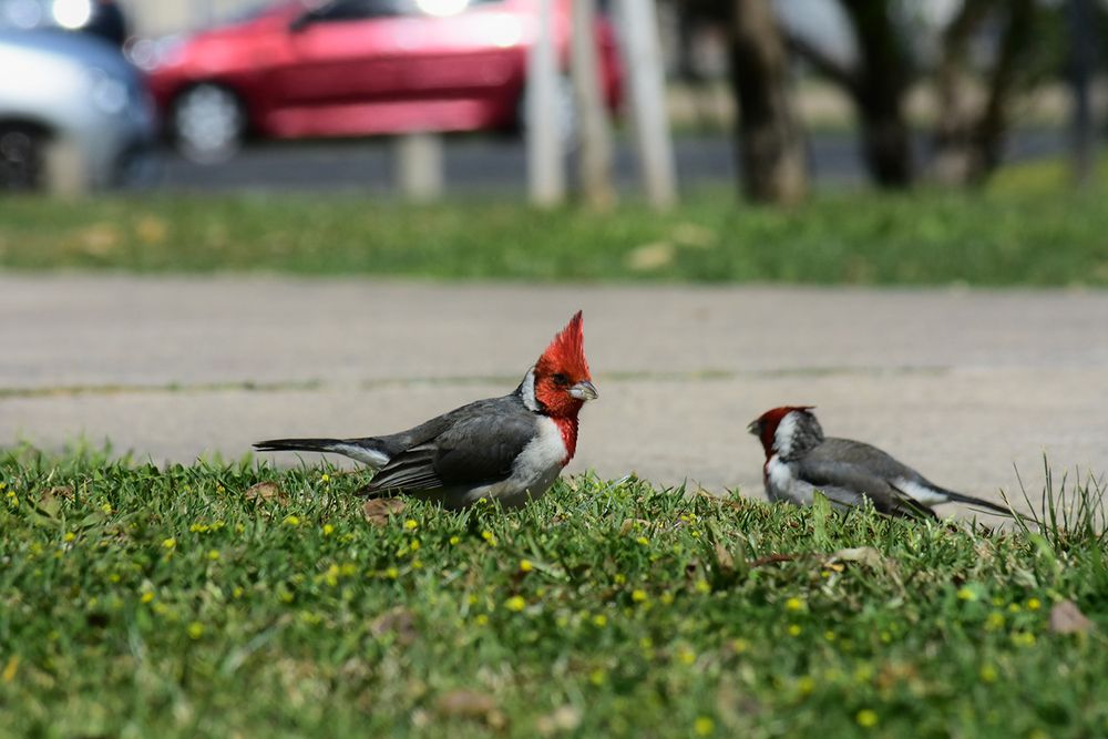 Photograph by Walter Fabián Gutiérrez