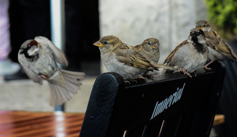 Photograph by Walter Fabián Gutiérrez