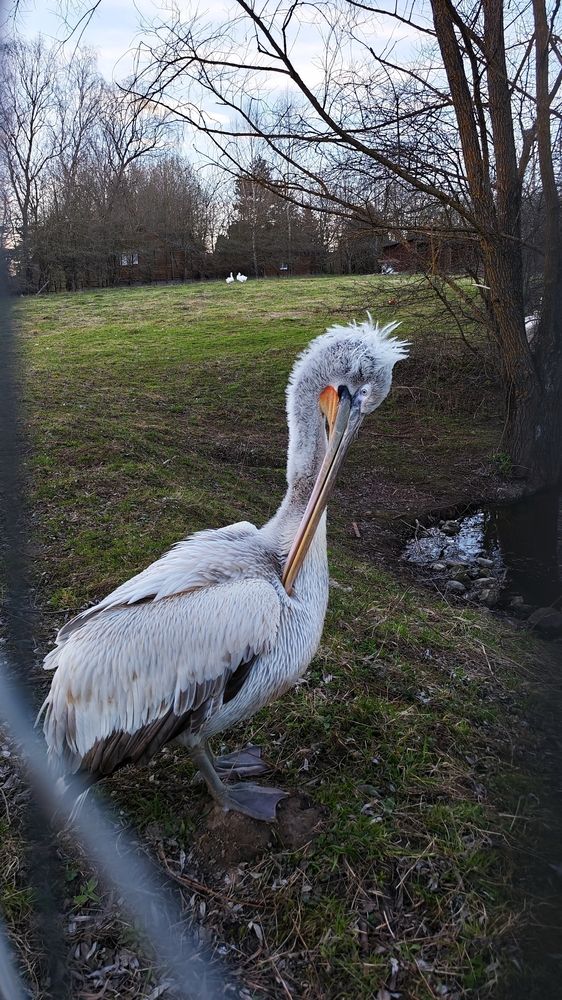 Photograph by Анна Кош