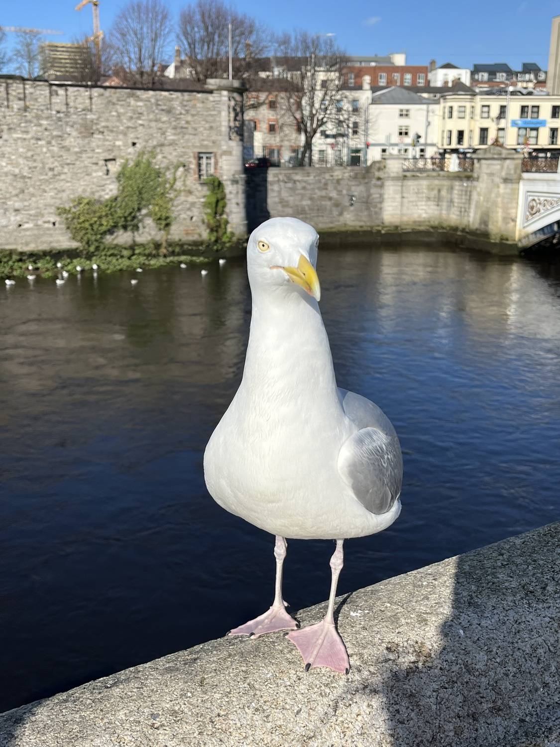 When in Dublin