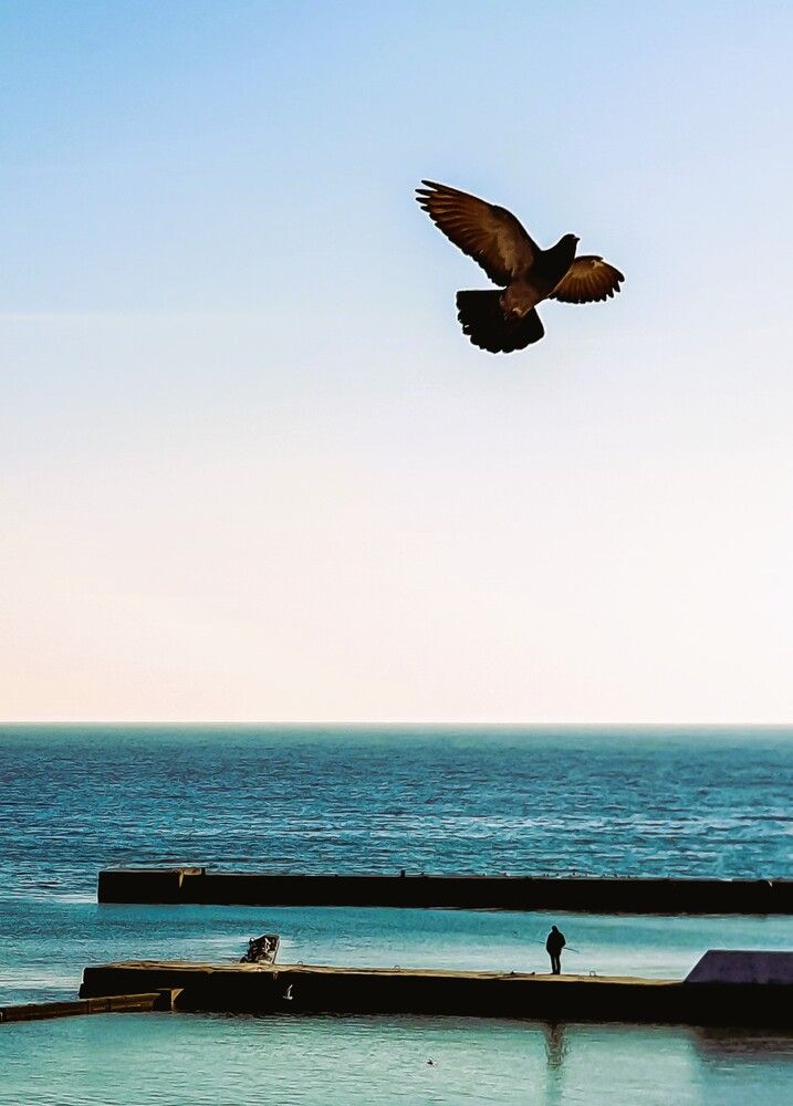 Photograph by Сергей Мамалюк