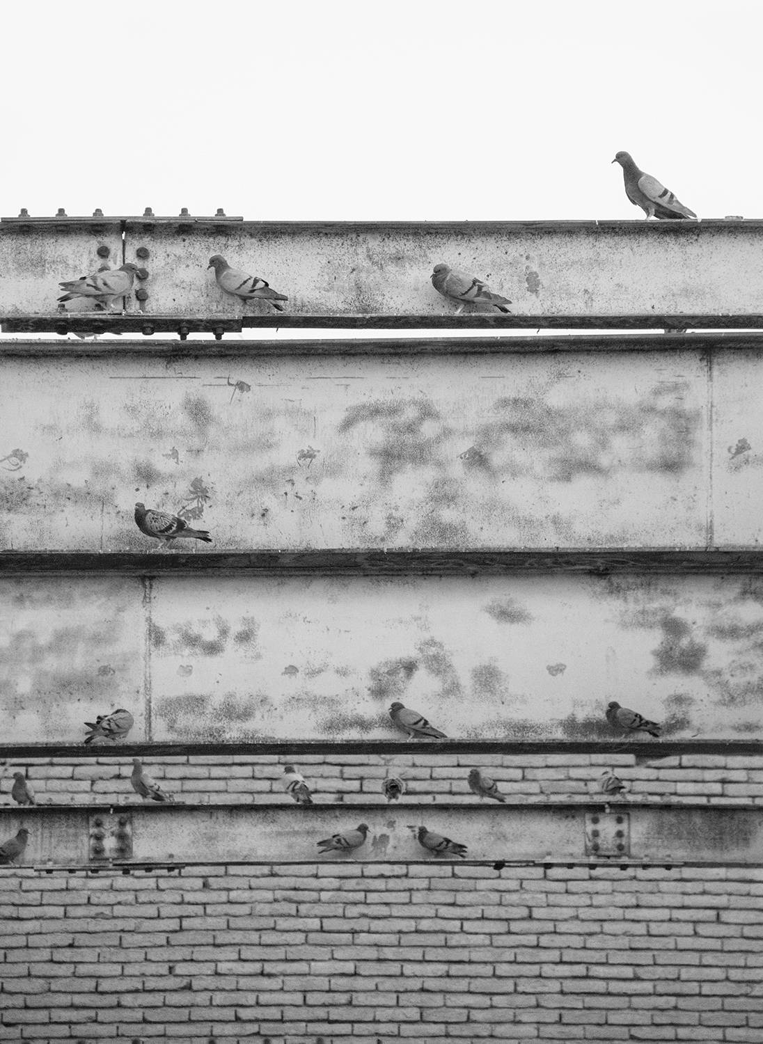 Bricks and Steel