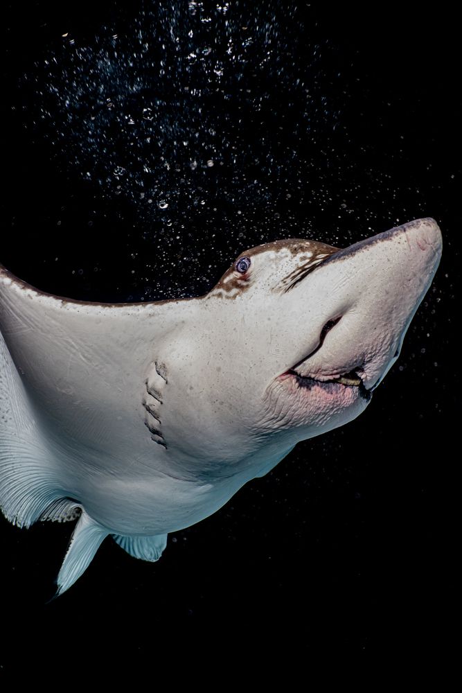 Photograph by Maria Del Mar