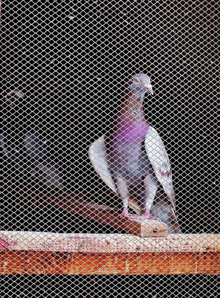 Photograph by Bilal Ahmad Khaki