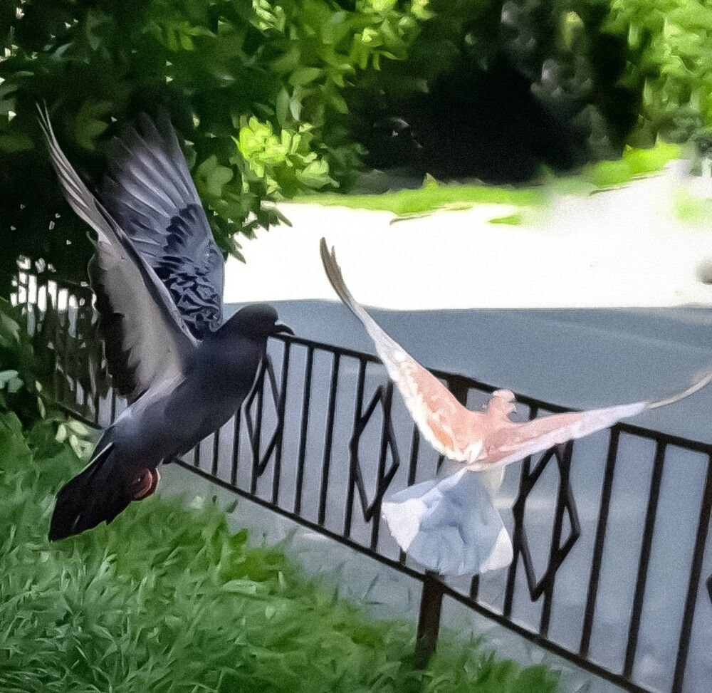 Photograph by Татьяна Александровна Терехова