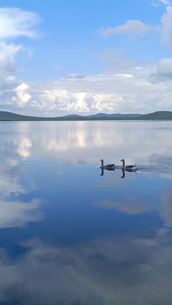 Photograph by Екатерина Александровна