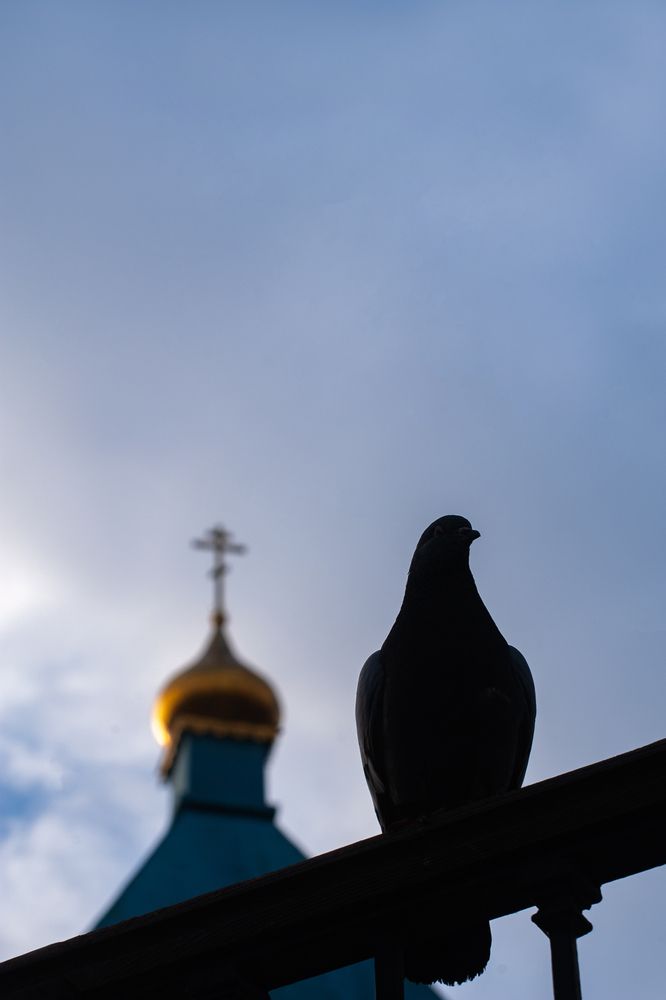Фотография автора Наталья Байракова