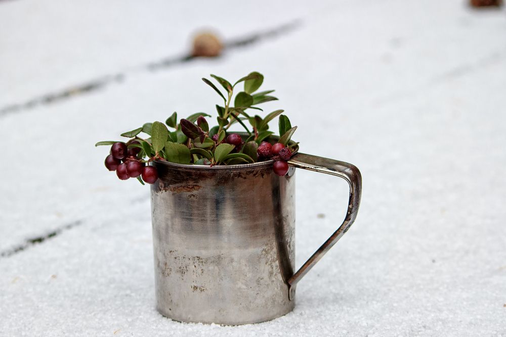Photograph by Сергей Дудаков