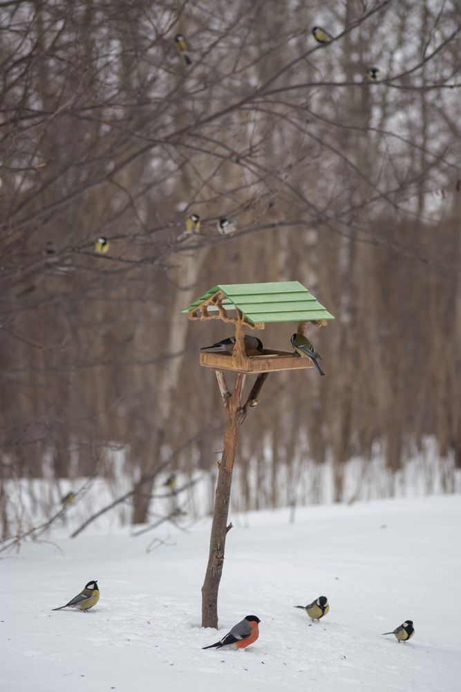 Photo #13714929