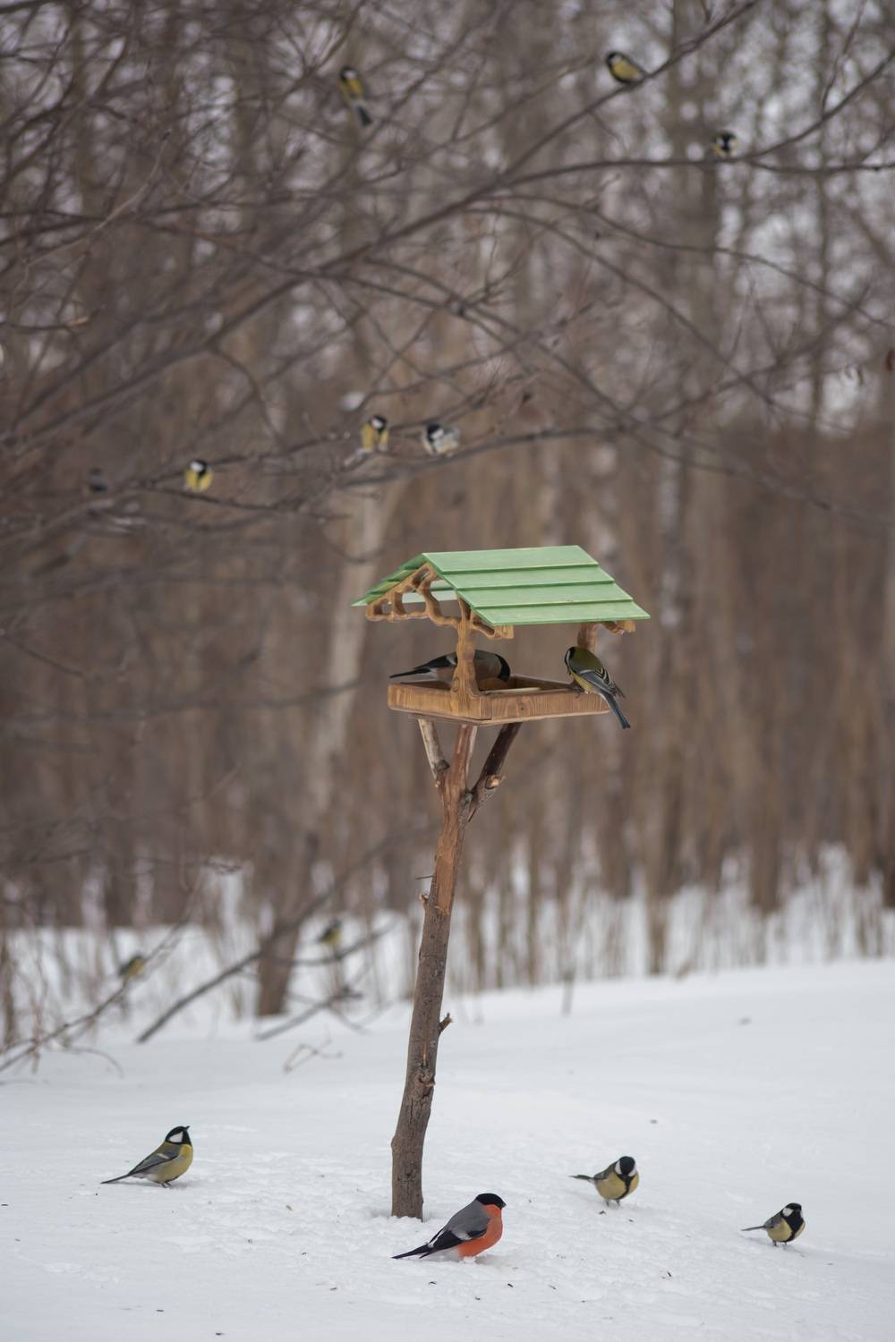 Photo #13714929