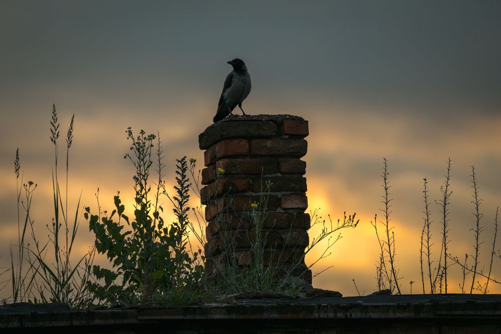 Photograph by BESPAMIATNYI Dmitry
