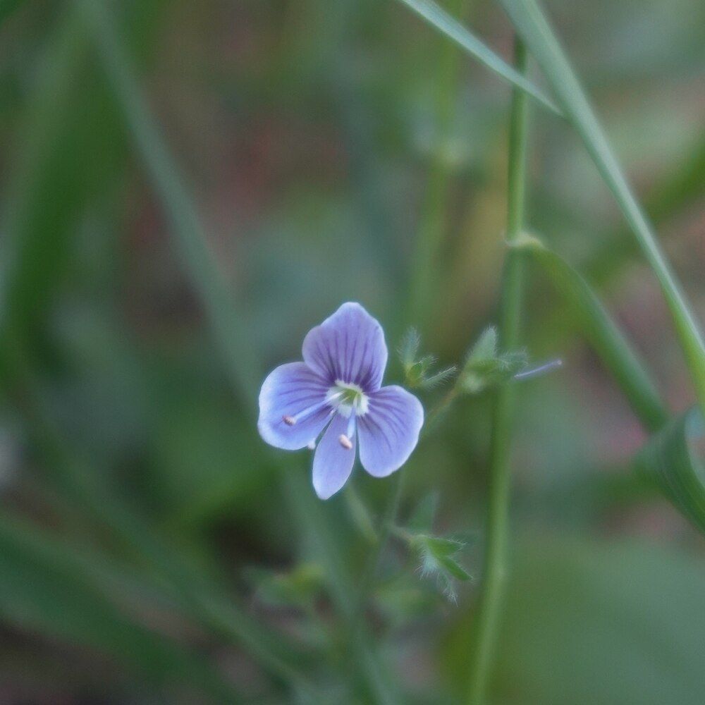 Photograph by Полина Вязникова