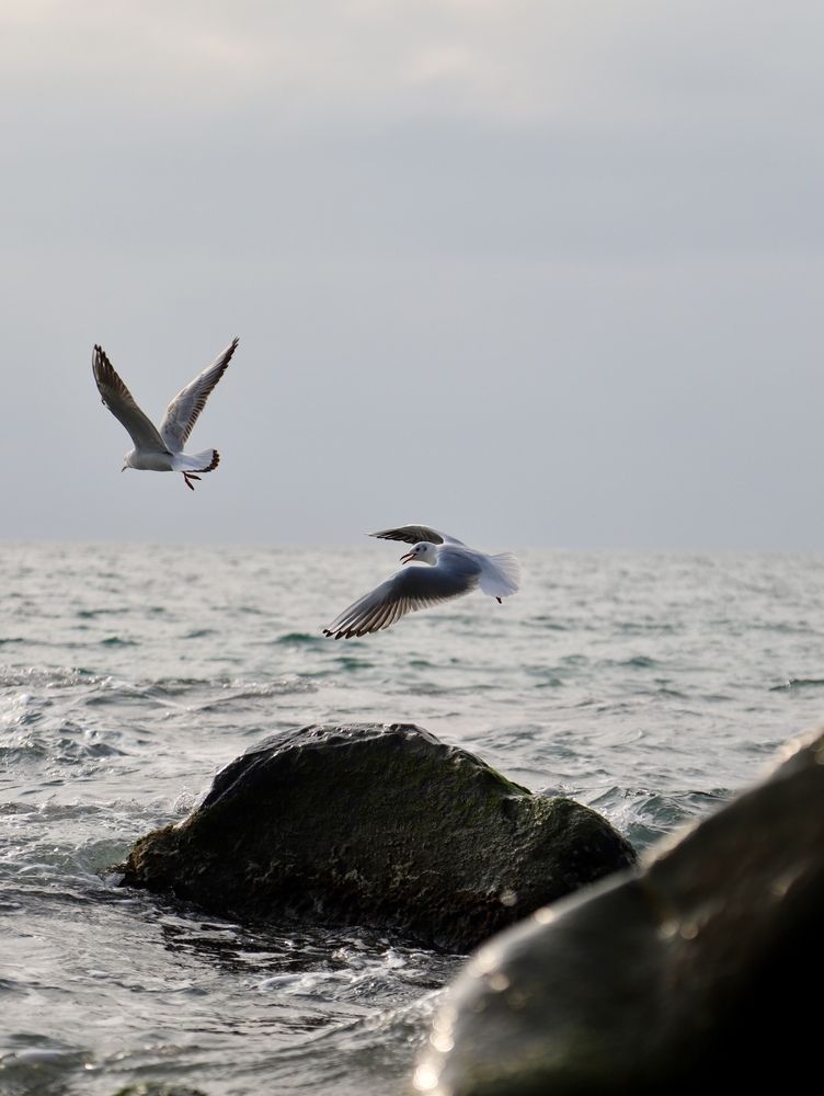 Photograph by Анастасия Рабочева