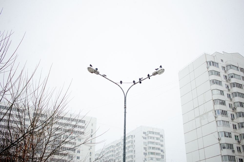 Photograph by Елена Саливон
