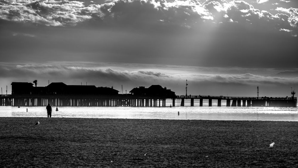 Photograph by j bao