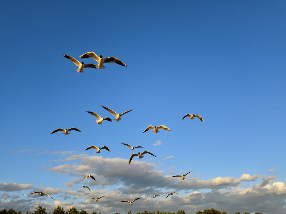 Photograph by Татьяна Бойцова