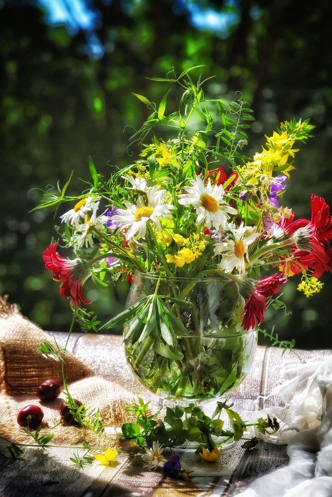 Photograph by Olga Asson