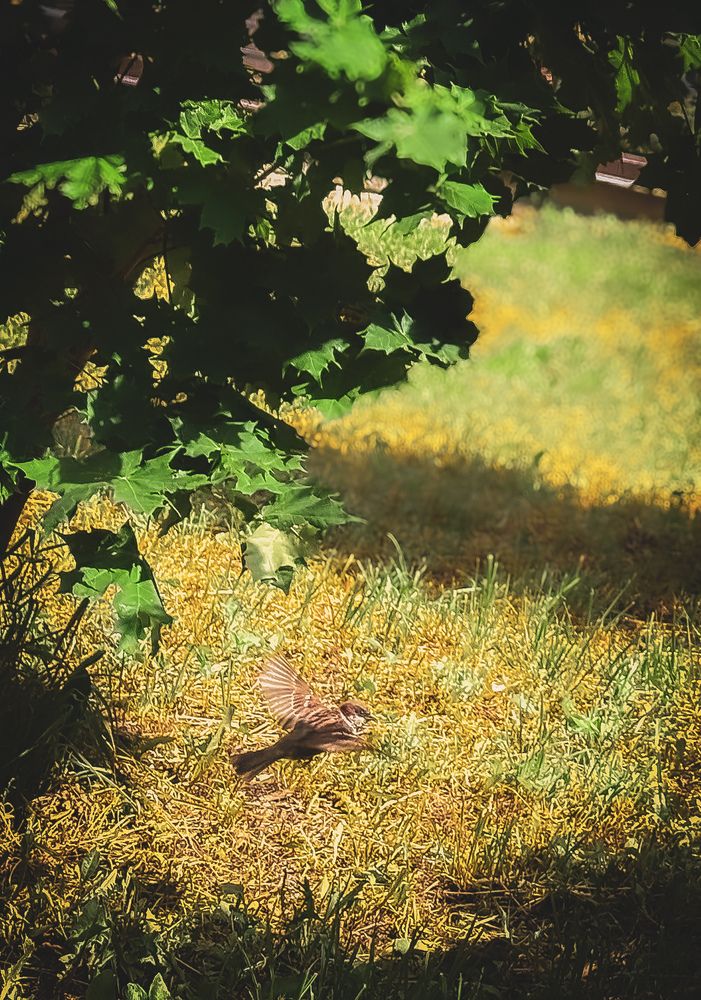 Photograph by Вячеслав Савицкий
