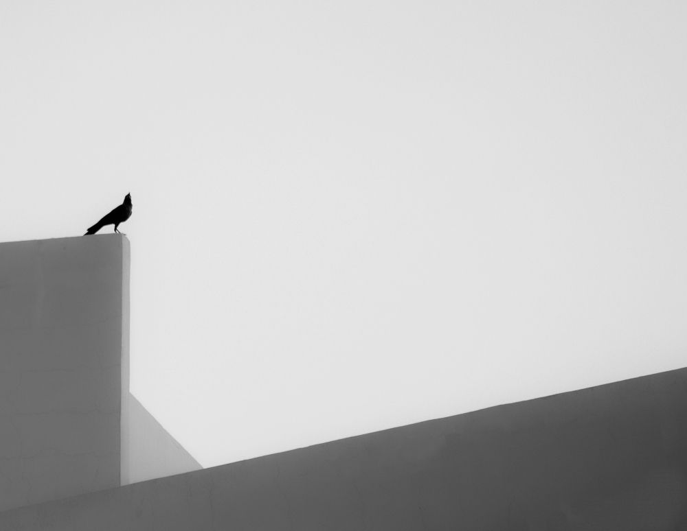 Photo #13715353