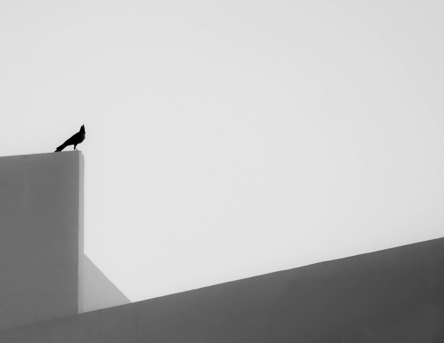 Photo #13715353