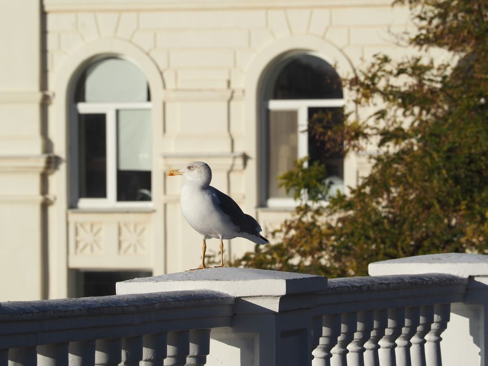 Photograph by Сергей Борисов