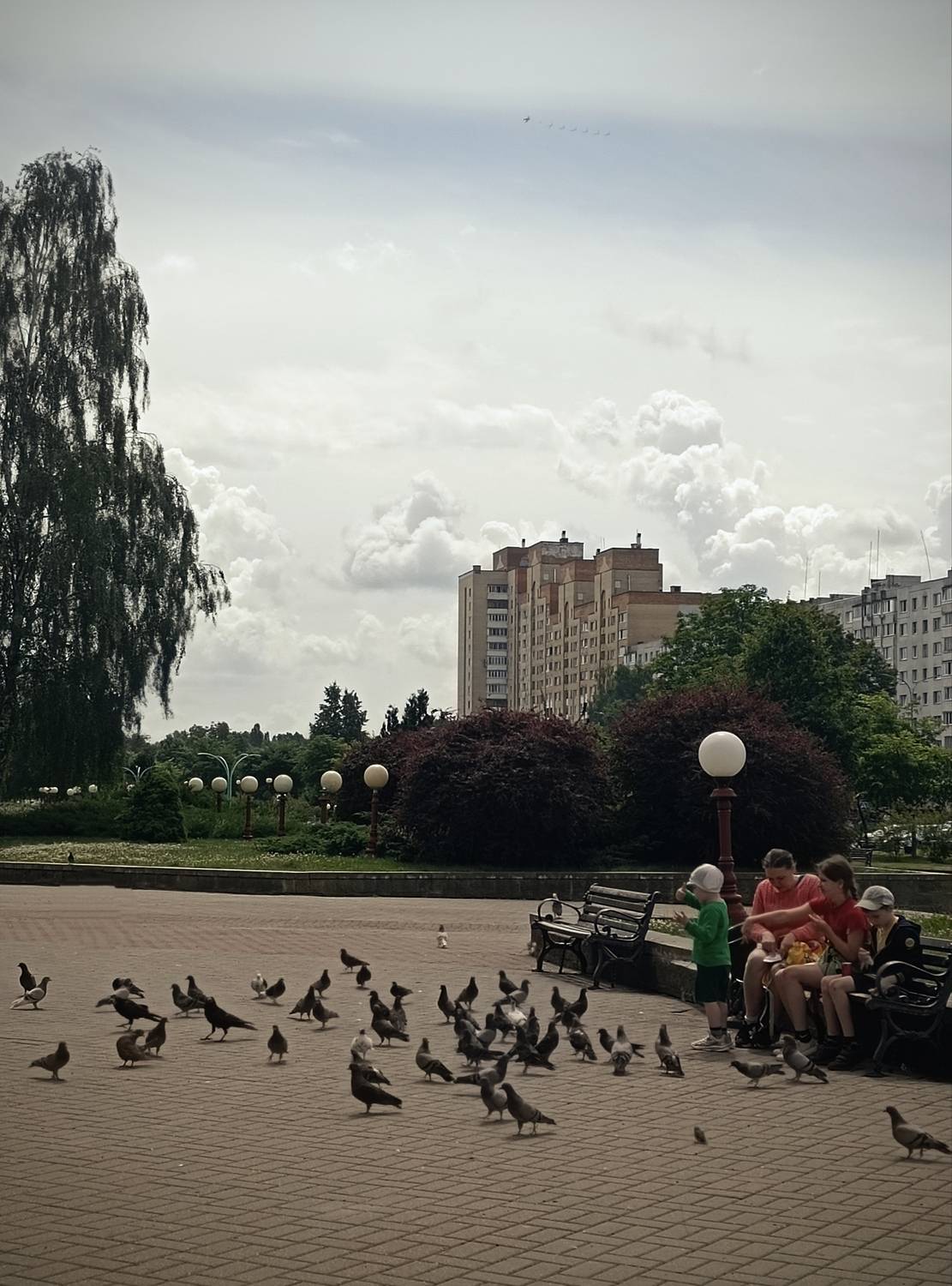 Photo #13715529