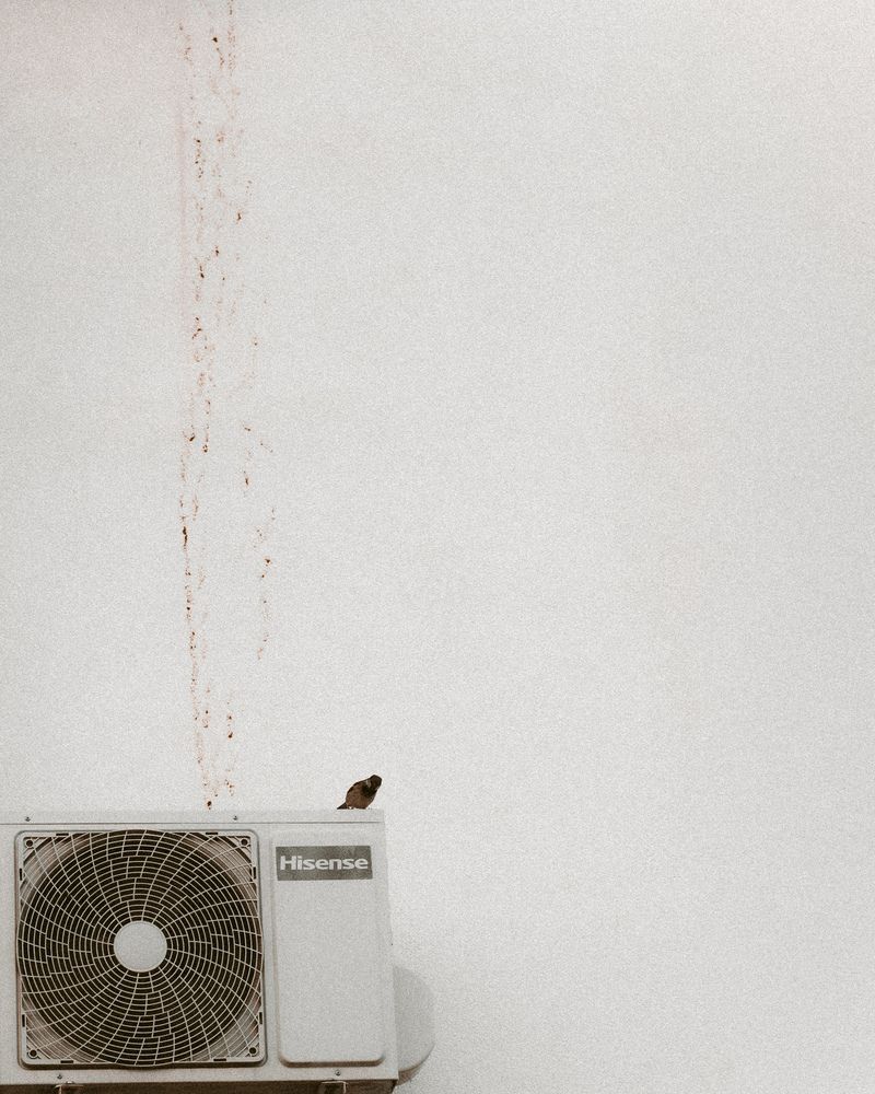 Photograph by Anna Chistiakova