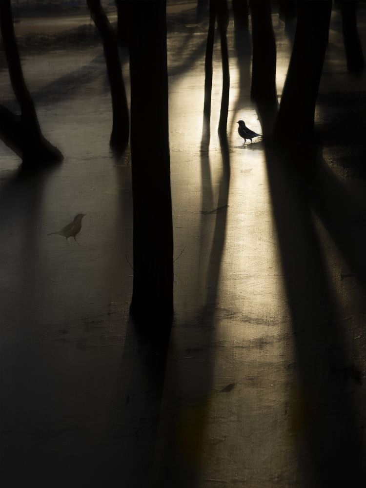 Photograph by T. Bondarenko